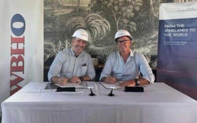 SA CONSTRUCTION GIANT TO BUILD NEW CAPE WINELANDS AIRPORT