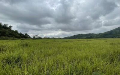 WEST AFRICAN MINES MUST PLAN FOR CYCLICAL REALITY