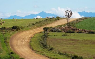 WILL EL NIÑO DROUGHT HIT FOOD PRICES IN SOUTH AFRICA? EARLIER RAINS AND GRAIN STOCKS OFFER HOPE