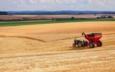 SA FOOD INFLATION SLOWS, BUT RISING COSTS SQUEEZE FARMERS