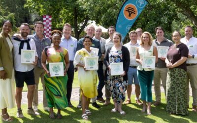 2026 FNB SAUVIGNON BLANC SA TOP 10 MARKS 20 YEARS OF GROWTH AND A STELLAR 2025 VINTAGE